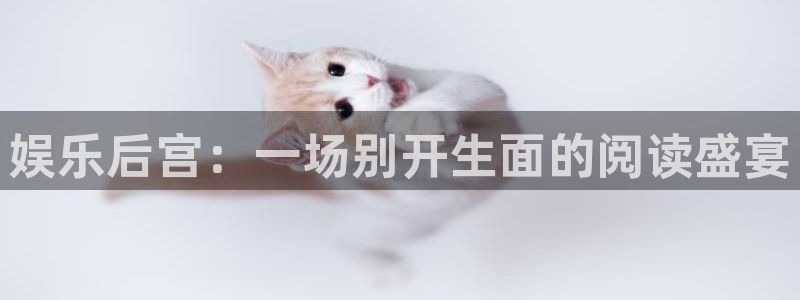 君临国际