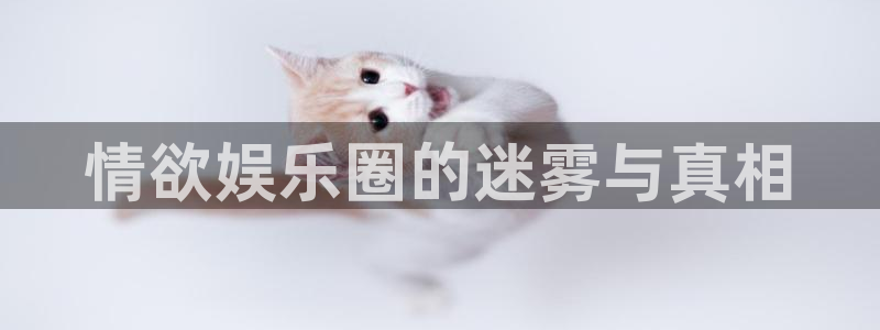 君临国际入口：情欲娱乐圈的迷雾与真相